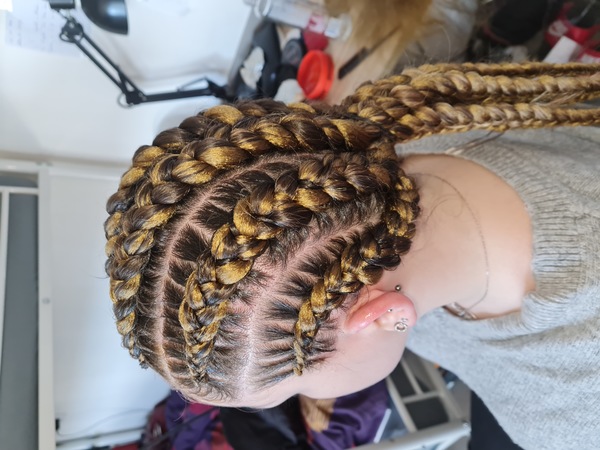 salon de coiffure afro tresse tresses box braids crochet braids vanilles tissages paris 75 77 78 91 92 93 94 95 SSOSEHVA