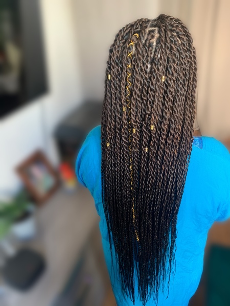 salon de coiffure afro tresse tresses box braids crochet braids vanilles tissages paris 75 77 78 91 92 93 94 95 CSVHRFYX