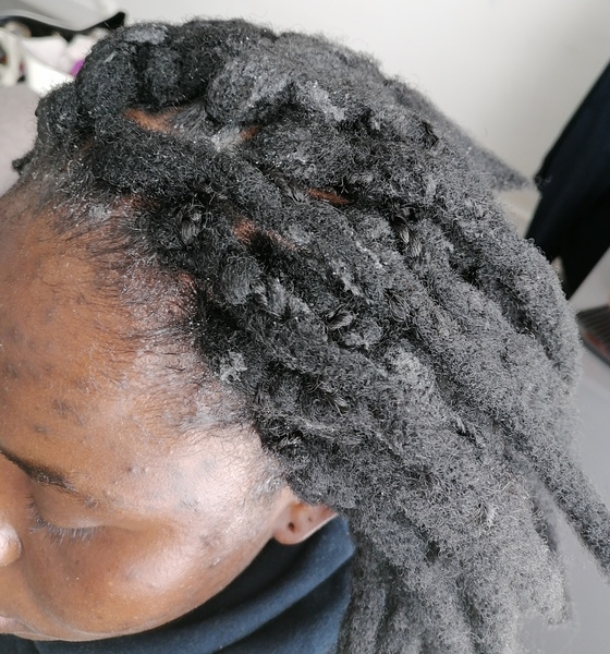 salon de coiffure afro tresse tresses box braids crochet braids vanilles tissages paris 75 77 78 91 92 93 94 95 FRHJUOFI