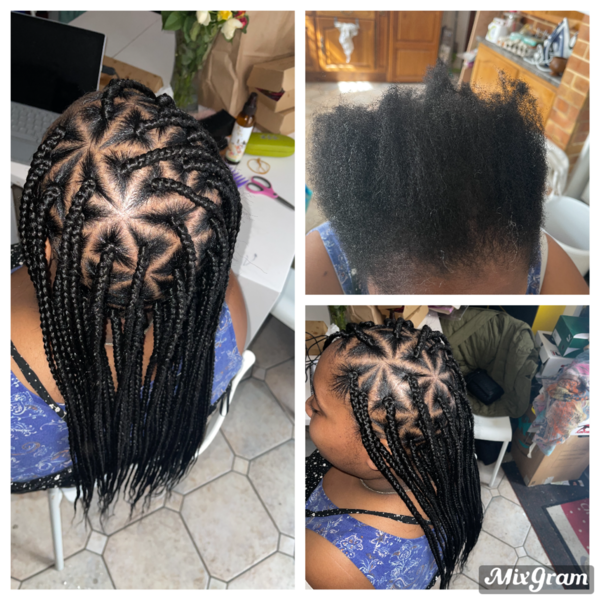 salon de coiffure afro tresse tresses box braids crochet braids vanilles tissages paris 75 77 78 91 92 93 94 95 MLTWGLQO