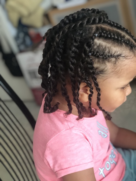 salon de coiffure afro tresse tresses box braids crochet braids vanilles tissages paris 75 77 78 91 92 93 94 95 BMHTCXMY