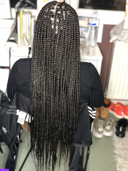 salon de coiffure afro tresse tresses box braids crochet braids vanilles tissages paris 75 77 78 91 92 93 94 95 RQBJMEEW