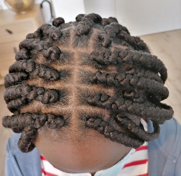 salon de coiffure afro tresse tresses box braids crochet braids vanilles tissages paris 75 77 78 91 92 93 94 95 NPLRNMZV