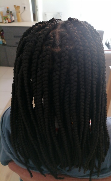salon de coiffure afro tresse tresses box braids crochet braids vanilles tissages paris 75 77 78 91 92 93 94 95 FHDSFANK