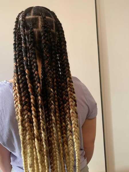 salon de coiffure afro tresse tresses box braids crochet braids vanilles tissages paris 75 77 78 91 92 93 94 95 RQCRFBZY