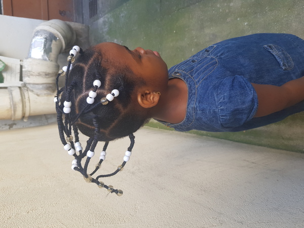 salon de coiffure afro tresse tresses box braids crochet braids vanilles tissages paris 75 77 78 91 92 93 94 95 FJLPKZHE