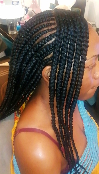 salon de coiffure afro tresse tresses box braids crochet braids vanilles tissages paris 75 77 78 91 92 93 94 95 RKWDRHUM