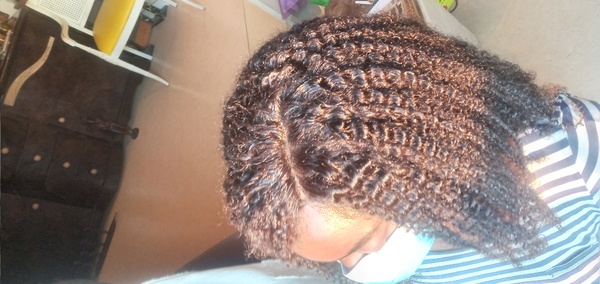 salon de coiffure afro tresse tresses box braids crochet braids vanilles tissages paris 75 77 78 91 92 93 94 95 ZRDKWNAV