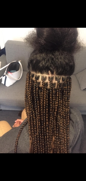 salon de coiffure afro tresse tresses box braids crochet braids vanilles tissages paris 75 77 78 91 92 93 94 95 YNPGPNKO