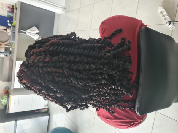 salon de coiffure afro tresse tresses box braids crochet braids vanilles tissages paris 75 77 78 91 92 93 94 95 NJYNFGWJ