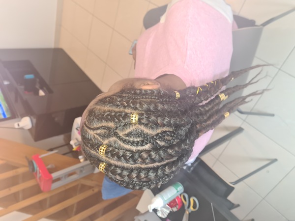 salon de coiffure afro tresse tresses box braids crochet braids vanilles tissages paris 75 77 78 91 92 93 94 95 HJIEEODR