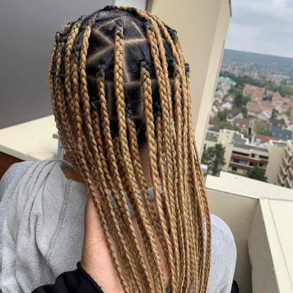 salon de coiffure afro tresse tresses box braids crochet braids vanilles tissages paris 75 77 78 91 92 93 94 95 KQQHOYVD