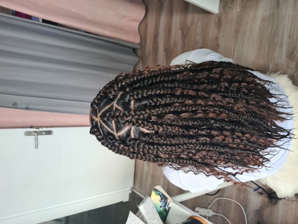 salon de coiffure afro tresse tresses box braids crochet braids vanilles tissages paris 75 77 78 91 92 93 94 95 LLLBFTJL