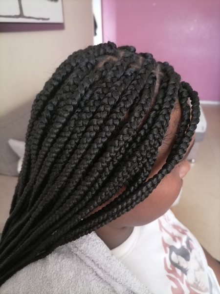 salon de coiffure afro tresse tresses box braids crochet braids vanilles tissages paris 75 77 78 91 92 93 94 95 PYQCFJXS