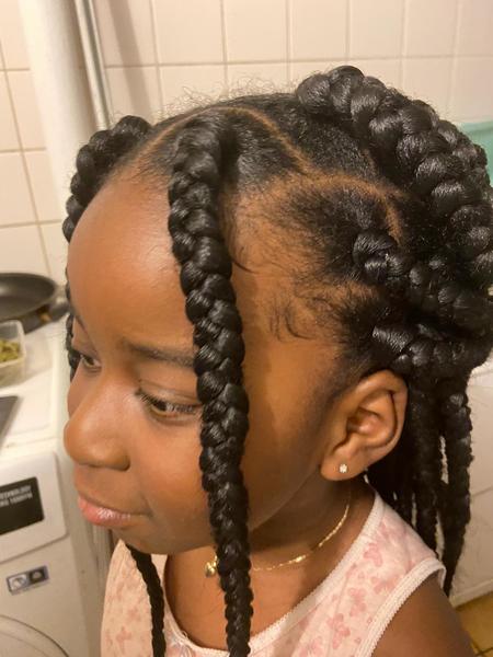 salon de coiffure afro tresse tresses box braids crochet braids vanilles tissages paris 75 77 78 91 92 93 94 95 BTUMMYWX