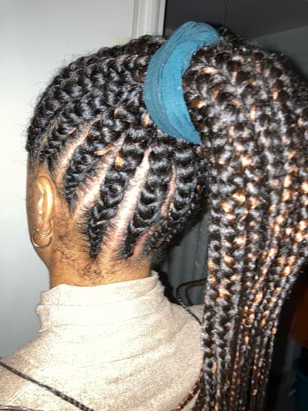 salon de coiffure afro tresse tresses box braids crochet braids vanilles tissages paris 75 77 78 91 92 93 94 95 ZJFBASNB