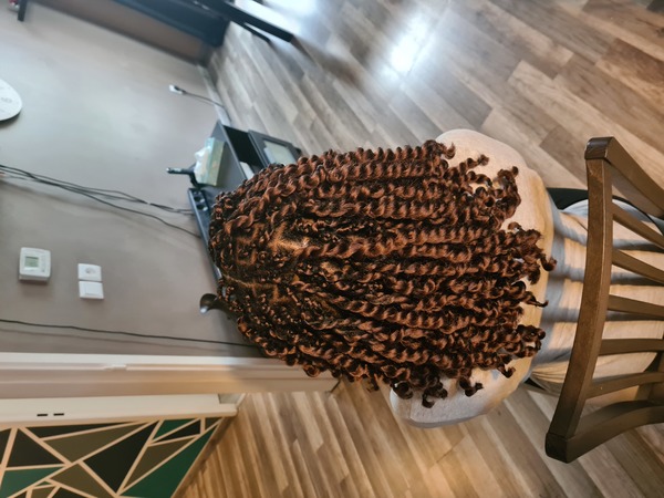 salon de coiffure afro tresse tresses box braids crochet braids vanilles tissages paris 75 77 78 91 92 93 94 95 HXFFEKPE