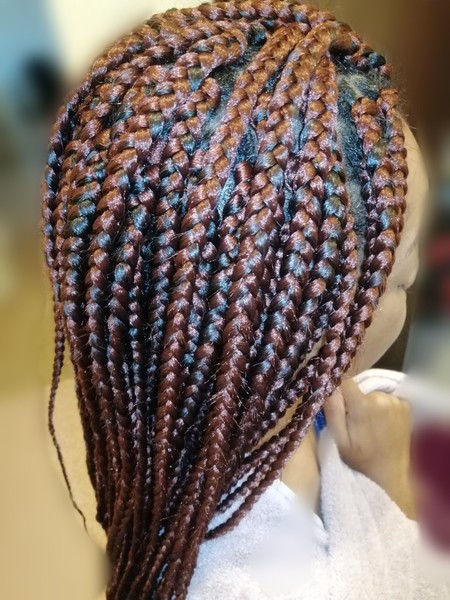 salon de coiffure afro tresse tresses box braids crochet braids vanilles tissages paris 75 77 78 91 92 93 94 95 OLTLYHVC