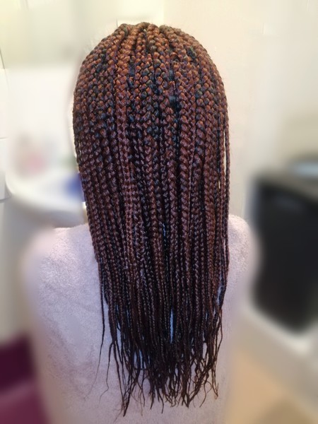 salon de coiffure afro tresse tresses box braids crochet braids vanilles tissages paris 75 77 78 91 92 93 94 95 MPUAGRBL