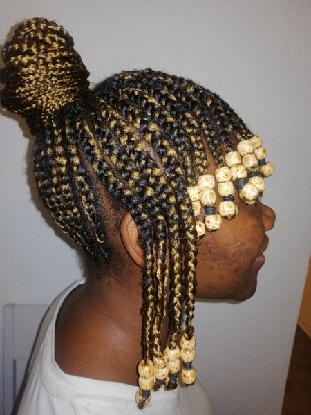 salon de coiffure afro tresse tresses box braids crochet braids vanilles tissages paris 75 77 78 91 92 93 94 95 BZJVUTJM