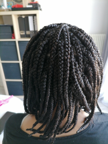 salon de coiffure afro tresse tresses box braids crochet braids vanilles tissages paris 75 77 78 91 92 93 94 95 VVMDVPMG