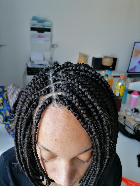 salon de coiffure afro tresse tresses box braids crochet braids vanilles tissages paris 75 77 78 91 92 93 94 95 NINPTYNZ