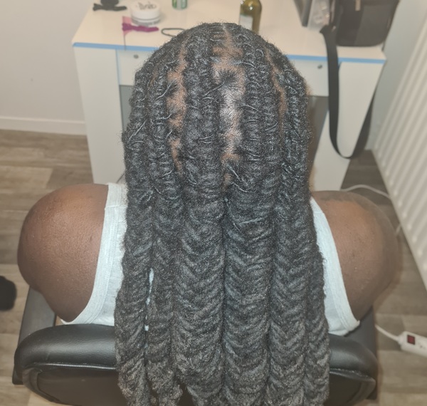 salon de coiffure afro tresse tresses box braids crochet braids vanilles tissages paris 75 77 78 91 92 93 94 95 SBZWOFGE