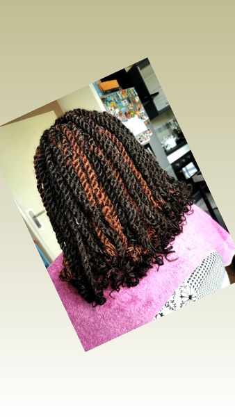 salon de coiffure afro tresse tresses box braids crochet braids vanilles tissages paris 75 77 78 91 92 93 94 95 WGIQWOLW