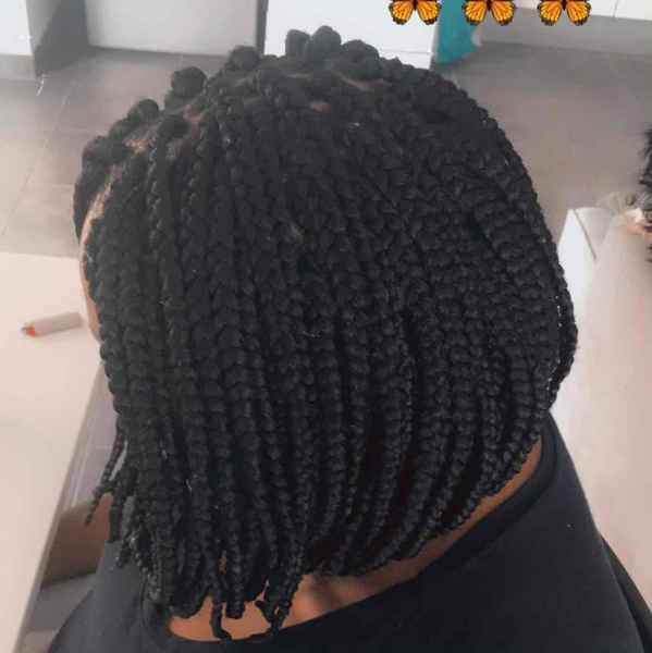 salon de coiffure afro tresse tresses box braids crochet braids vanilles tissages paris 75 77 78 91 92 93 94 95 IGIWBADP