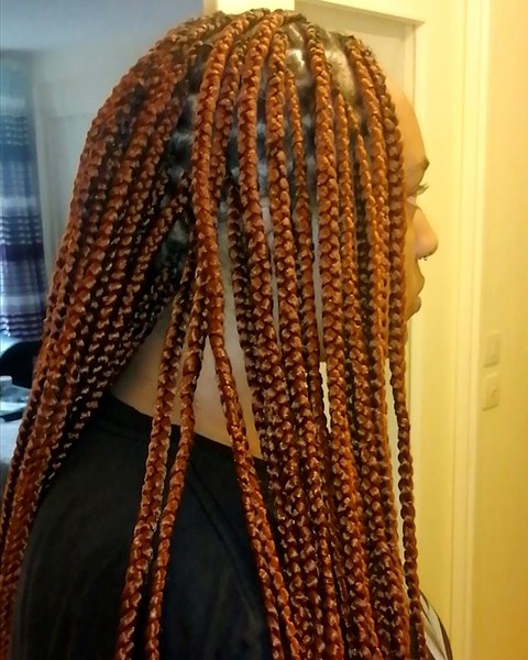 salon de coiffure afro tresse tresses box braids crochet braids vanilles tissages paris 75 77 78 91 92 93 94 95 YLVAFDCP