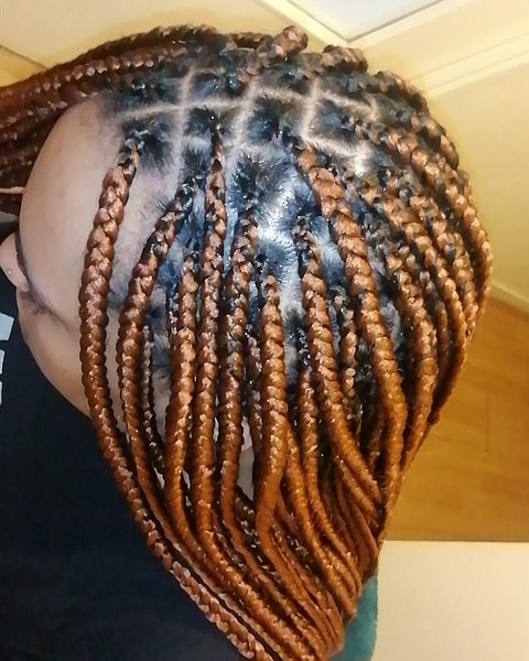 salon de coiffure afro tresse tresses box braids crochet braids vanilles tissages paris 75 77 78 91 92 93 94 95 SSMWAPER