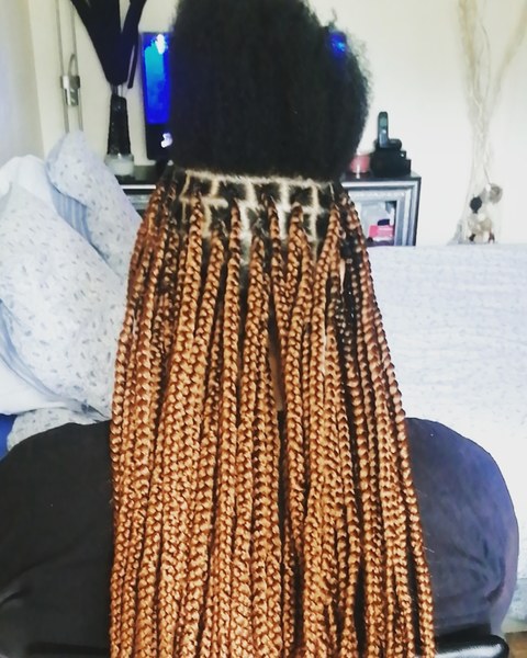 salon de coiffure afro tresse tresses box braids crochet braids vanilles tissages paris 75 77 78 91 92 93 94 95 UDOEXYXG