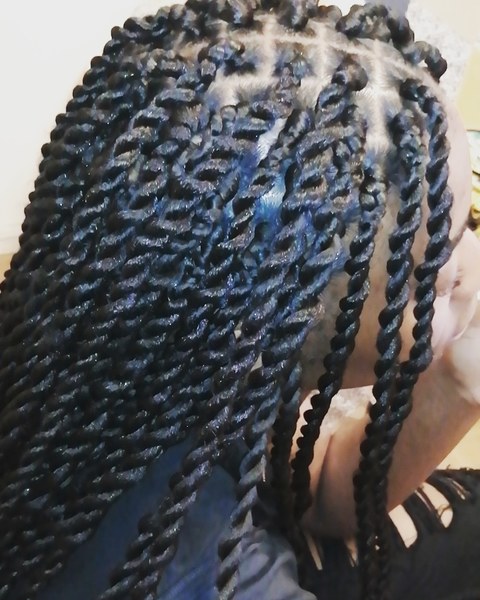 salon de coiffure afro tresse tresses box braids crochet braids vanilles tissages paris 75 77 78 91 92 93 94 95 RROHSNJY