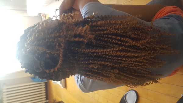 salon de coiffure afro tresse tresses box braids crochet braids vanilles tissages paris 75 77 78 91 92 93 94 95 ZQWXGEFF