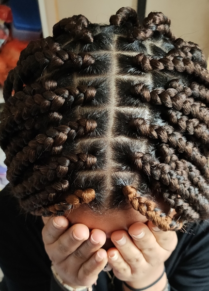 salon de coiffure afro tresse tresses box braids crochet braids vanilles tissages paris 75 77 78 91 92 93 94 95 CJPUUSVH