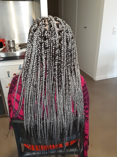 salon de coiffure afro tresse tresses box braids crochet braids vanilles tissages paris 75 77 78 91 92 93 94 95 YWIXXGTS