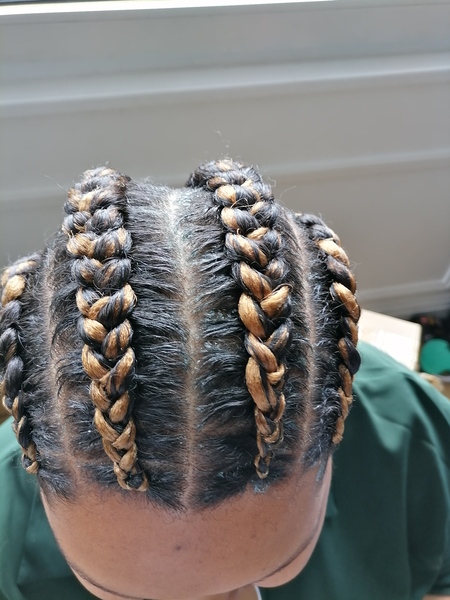 salon de coiffure afro tresse tresses box braids crochet braids vanilles tissages paris 75 77 78 91 92 93 94 95 ZYTBVESZ
