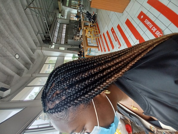 salon de coiffure afro tresse tresses box braids crochet braids vanilles tissages paris 75 77 78 91 92 93 94 95 GBTQRZRJ