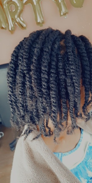 salon de coiffure afro tresse tresses box braids crochet braids vanilles tissages paris 75 77 78 91 92 93 94 95 ZINLAIWP