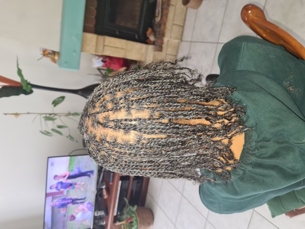 salon de coiffure afro tresse tresses box braids crochet braids vanilles tissages paris 75 77 78 91 92 93 94 95 SHBTLTUB