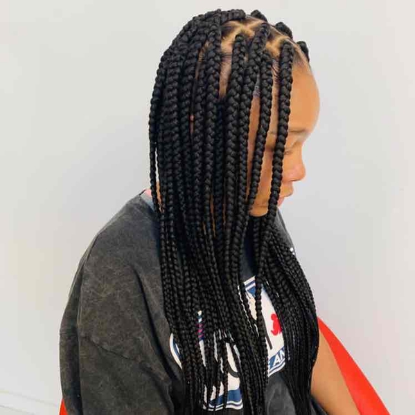 salon de coiffure afro tresse tresses box braids crochet braids vanilles tissages paris 75 77 78 91 92 93 94 95 PNIBRRJC