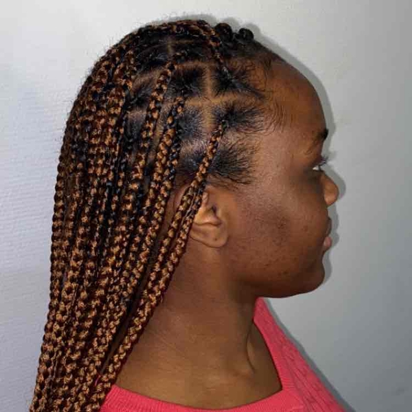 salon de coiffure afro tresse tresses box braids crochet braids vanilles tissages paris 75 77 78 91 92 93 94 95 TKBNZDPW