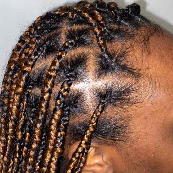 salon de coiffure afro tresse tresses box braids crochet braids vanilles tissages paris 75 77 78 91 92 93 94 95 AKVJCEEB