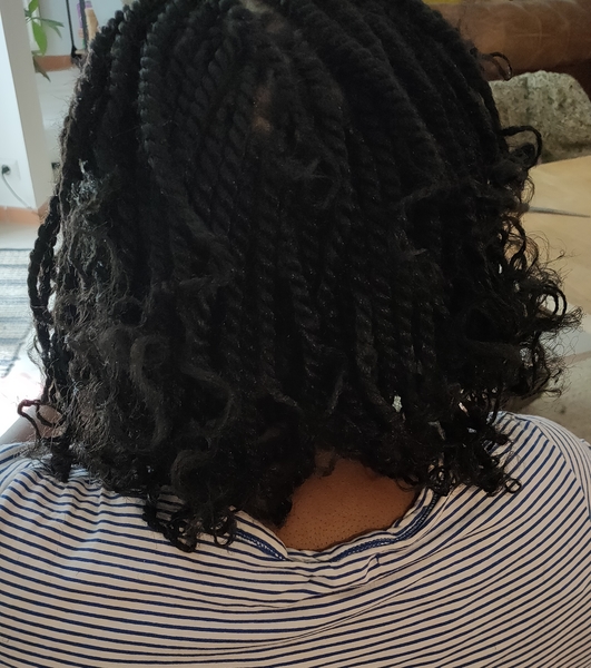 salon de coiffure afro tresse tresses box braids crochet braids vanilles tissages paris 75 77 78 91 92 93 94 95 TZDWZLEZ