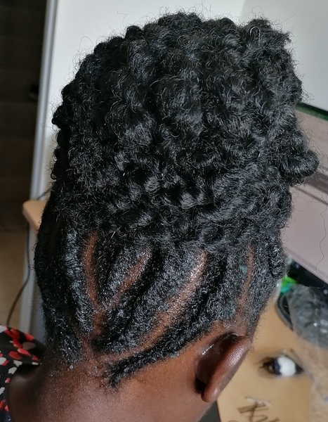 salon de coiffure afro tresse tresses box braids crochet braids vanilles tissages paris 75 77 78 91 92 93 94 95 PZPXKBIB