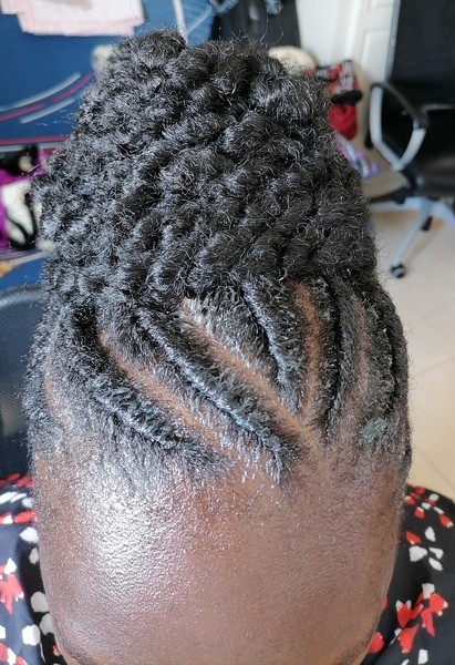 salon de coiffure afro tresse tresses box braids crochet braids vanilles tissages paris 75 77 78 91 92 93 94 95 GZUSONDX