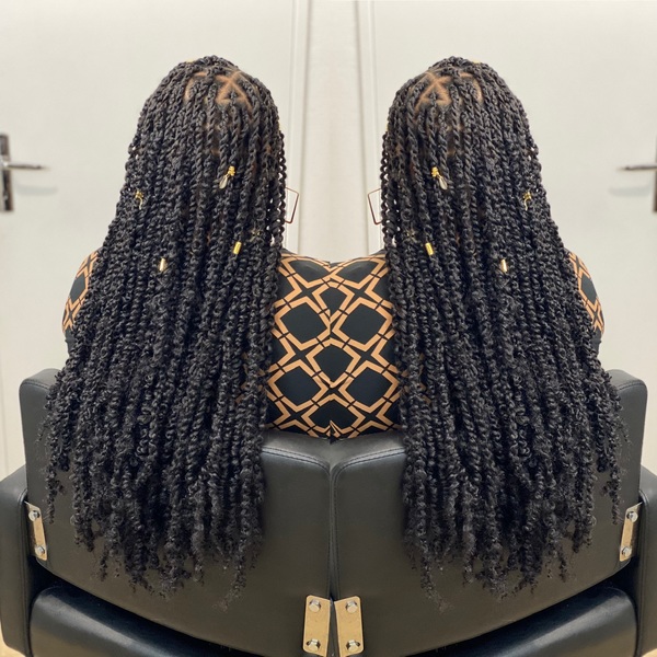 salon de coiffure afro tresse tresses box braids crochet braids vanilles tissages paris 75 77 78 91 92 93 94 95 XHBQMQTR