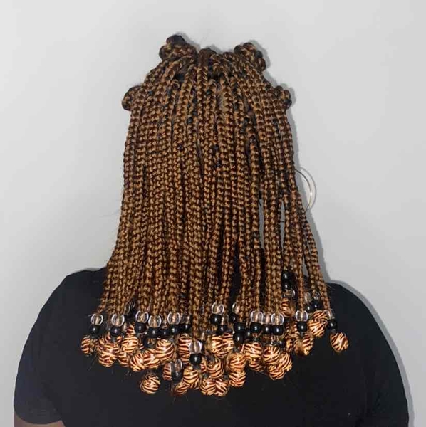 salon de coiffure afro tresse tresses box braids crochet braids vanilles tissages paris 75 77 78 91 92 93 94 95 TIXCEGPF