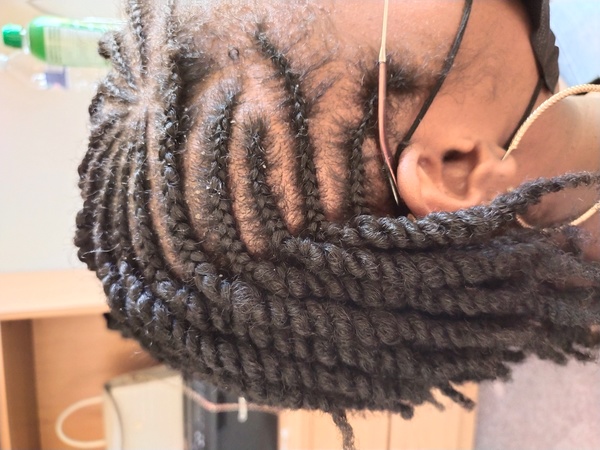 salon de coiffure afro tresse tresses box braids crochet braids vanilles tissages paris 75 77 78 91 92 93 94 95 CQRHPJLO