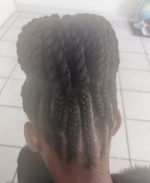salon de coiffure afro tresse tresses box braids crochet braids vanilles tissages paris 75 77 78 91 92 93 94 95 FTDNWEPG